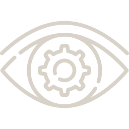 vision